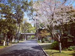 -浙江西子宾馆·瑶园咖啡厅