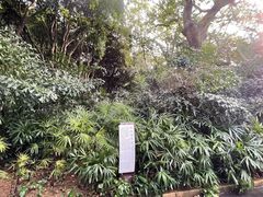 -柳侯公园