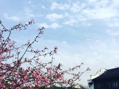 -荆川公园