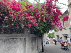 -鼓浪屿钢琴博物馆