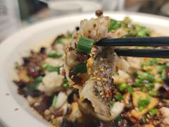 黑鱼花-三猫黑鱼花(南大店)