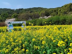 -苏州上方山国家森林公园