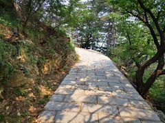 -金龙寺国家森林公园