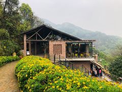-远山有窑