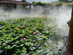 -广州莲花山旅游区