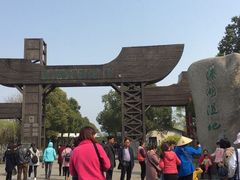 -溱湖国家湿地公园