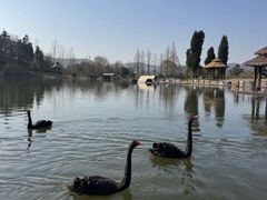 -南京银杏湖乐园