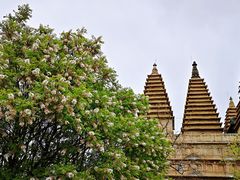 -北京石刻艺术博物馆(五塔寺)