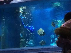 -梦幻海洋王国(吾悦广场张家港店)