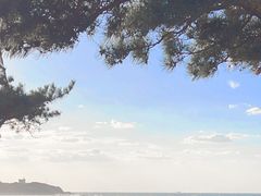 -威海国际海水浴场旅游区