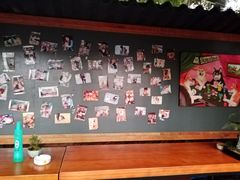 -柴犬高等学院·狗咖·柴犬售卖·宠物训练