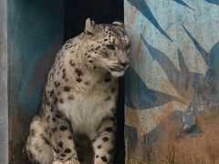 -青藏高原野生动物园