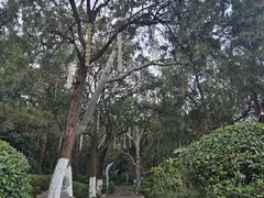 -云龙山