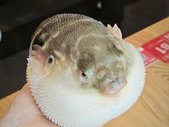 -永安鱼庄·镇江菜(丁卯店)