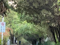 -北戴河东海水浴场