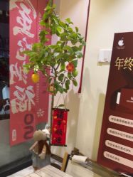 -可樱汇·美容洗发SPA