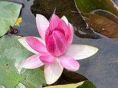 -花溪公园