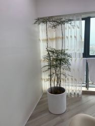 -HEYAN荷妍专业脱毛连锁机构