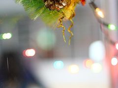 -上海大学生体育中心游泳馆(松江店)