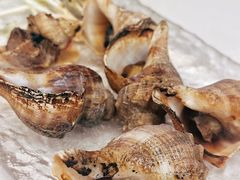 -白仁仔· 活烤海鲜 宵夜(豫园店)