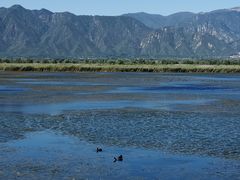 -野鸭湖国家湿地公园