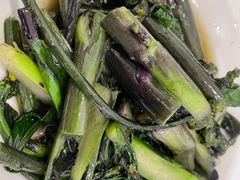 清炒菜苔-新新湘菜馆(新中街二条店)