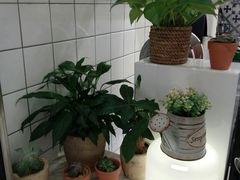 -恋暖初茶(万菱汇店)