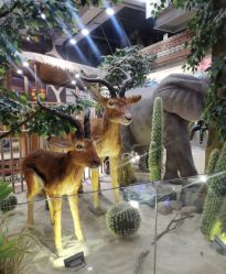 -鲁比猴非洲探索部落(喜盈门店)