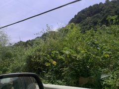 android_upload_pic-宁波浙东大竹海景区