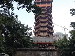 -塔子山公园