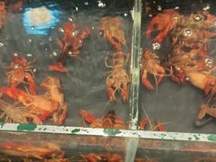 -星伦多自助料理·涮烤一体(奉贤龙湖天街店)