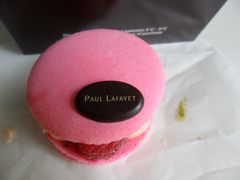 覆盆子macaron-Paul Lafayet(K11 Art Mall店)