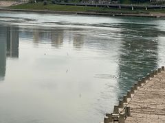 -中国宜宾·长江地标广场