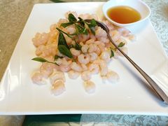 龙井虾仁-山外山菜馆(玉泉路店)