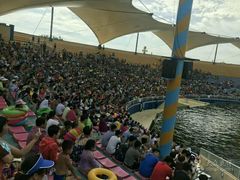 -秦皇岛乐岛海洋王国