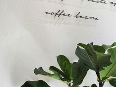 -red donkey coffee
