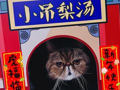 -小吊梨汤·北京菜·烤鸭(清河万象汇店)