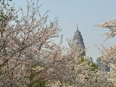 -西北湖绿化广场