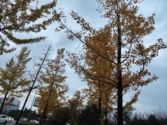 -贵阳市花溪国家城市湿地公园