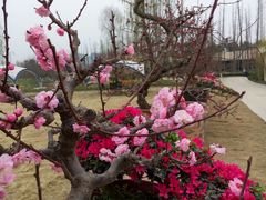android_upload_pic-秀丽东方