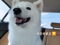 -陆羽泡的茶(集散中心店)