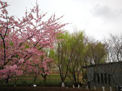 -白塘生态植物园