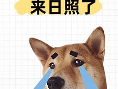 -日照海滨国家森林公园