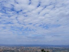 -神光山国家森林公园