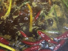 -石灰市毛记烧鸡公(解放碑店)