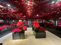 -大悦城(沈阳中街店)