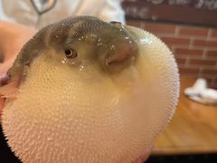 -永安鱼庄·镇江菜(丁卯店)