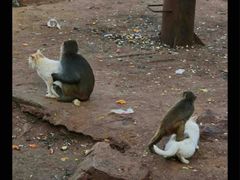 -昆明动物园