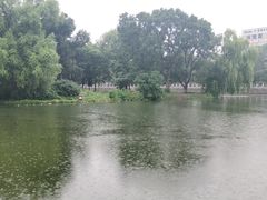 -万泉公园