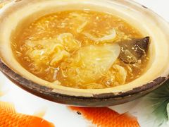 招牌花胶海参煲仔翅-添發碗仔翅美食